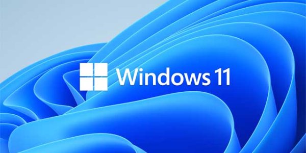 Windows 11 Enterprise LTSC 2024 (x64) - DVD (Chinese-Simplified)