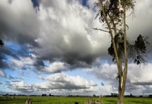 Edgeless：强大而优雅的半开源PE工具