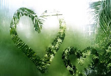 Edgeless：强大而优雅的半开源PE工具