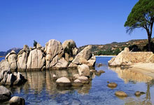 Edgeless：强大而优雅的半开源PE工具